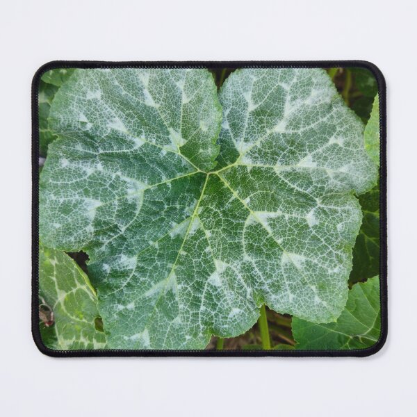 Item preview, Vibrant Green Pumpkin Leaves Texture designed and sold by Yanshuf.