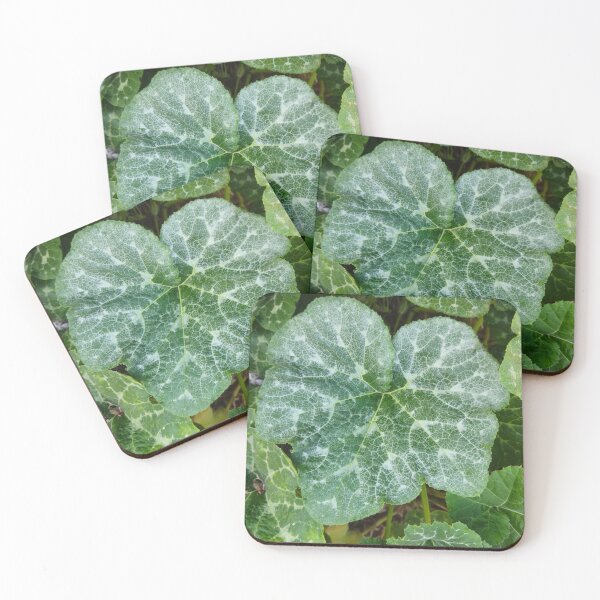 Item preview, Vibrant Green Pumpkin Leaves Texture designed and sold by Yanshuf.