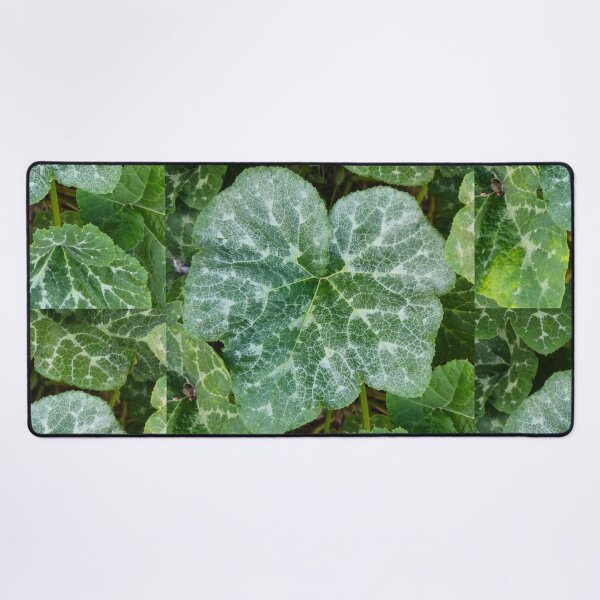 Item preview, Vibrant Green Pumpkin Leaves Texture designed and sold by Yanshuf.