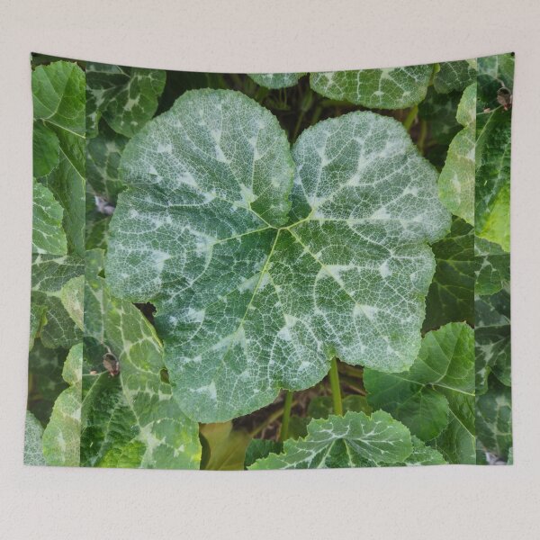 Item preview, Vibrant Green Pumpkin Leaves Texture designed and sold by Yanshuf.