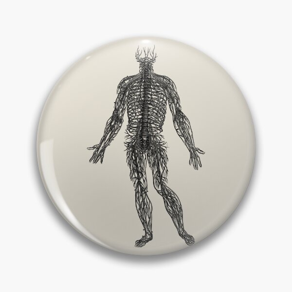 Item preview, Arrangement of the Spinal Nerves, Vesalius, 1543 (BLACK) designed and sold by Exhumed Archives.
