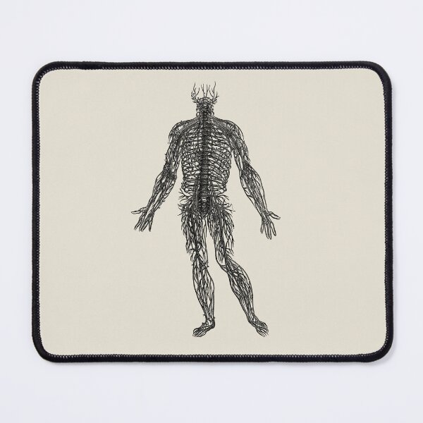 Item preview, Arrangement of the Spinal Nerves, Vesalius, 1543 (BLACK) designed and sold by Exhumed Archives.