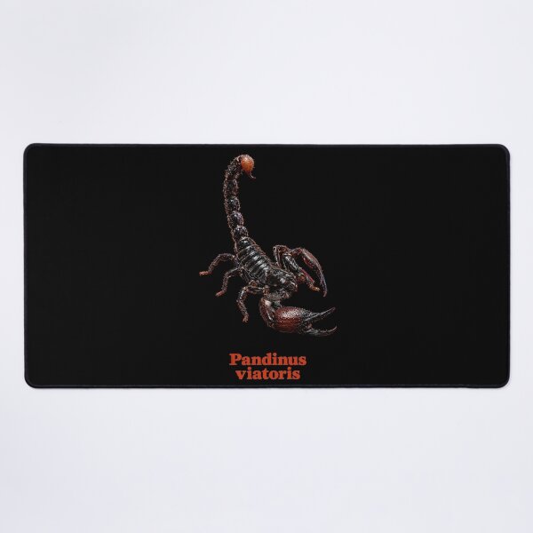 Item preview, Pandinus viatoris — Cave Clawed Scorpion SP-007 designed and sold by Exotic-Atlas.
