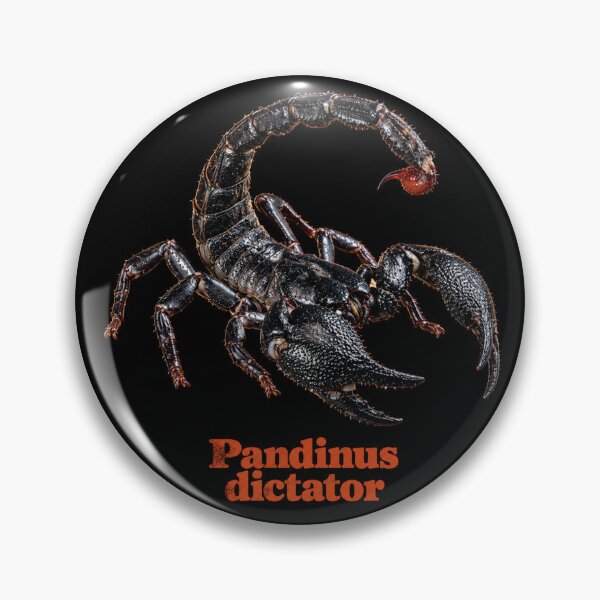 Aperçu de l'œuvre Pandinus dictateur — Scorpion dictateur SP_006 créée et vendue par Exotic-Atlas.