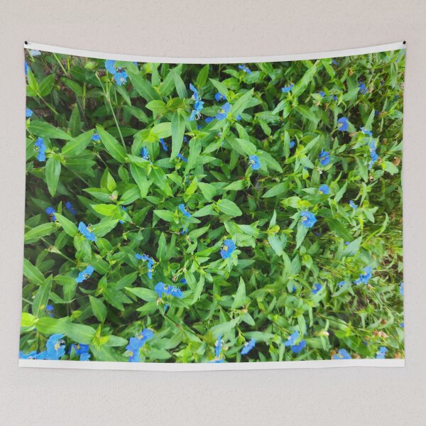 Item preview, Vibrant Blue Commelina Flowers on Green Foliage designed and sold by Yanshuf.
