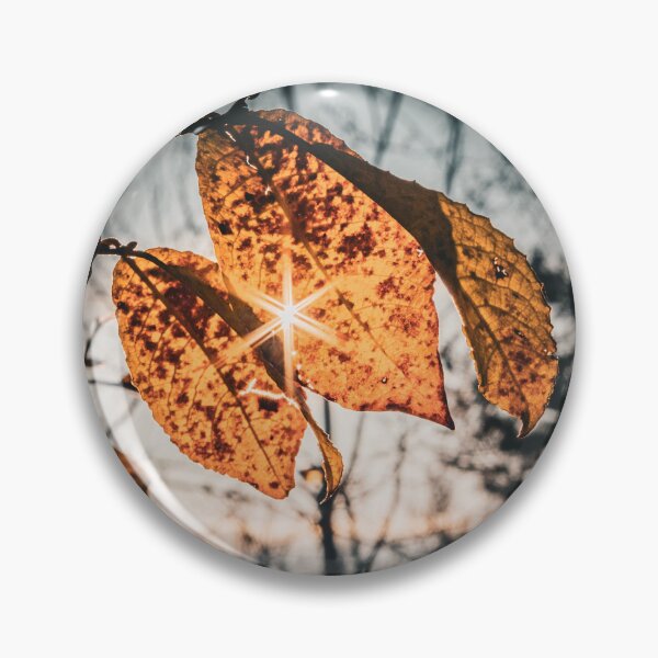 Item preview, Golden Hour Autumn Leaves Sunstar Moody Nature Photo designed and sold by Dzulo.