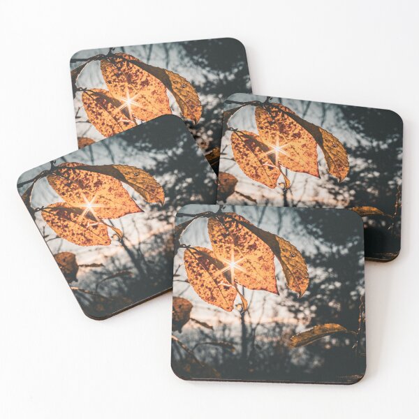 Item preview, Golden Hour Autumn Leaves Sunstar Moody Nature Photo designed and sold by Dzulo.