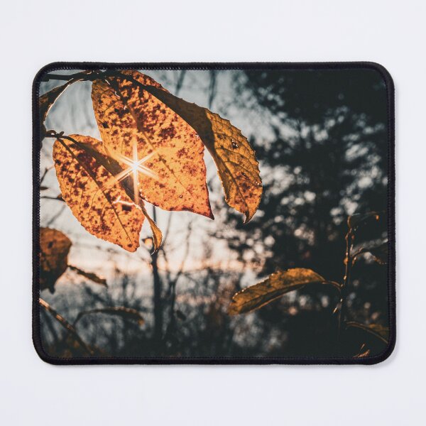Item preview, Golden Hour Autumn Leaves Sunstar Moody Nature Photo designed and sold by Dzulo.
