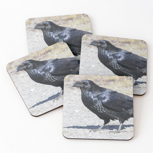 Item preview, Common Raven - Corvus corax designed and sold by LaurenTucker.