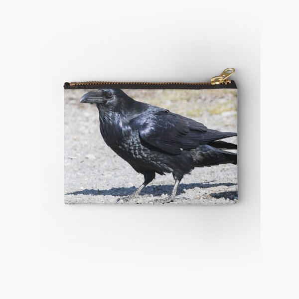 Item preview, Common Raven - Corvus corax designed and sold by LaurenTucker.
