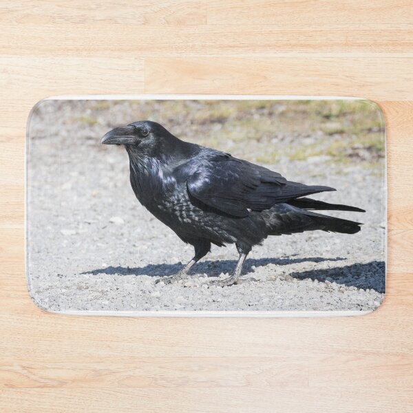 Item preview, Common Raven - Corvus corax designed and sold by LaurenTucker.