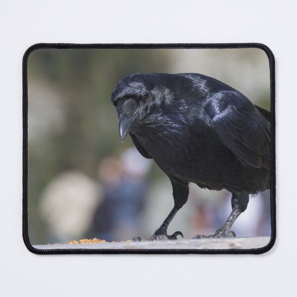 Item preview, Common Raven designed and sold by LaurenTucker.