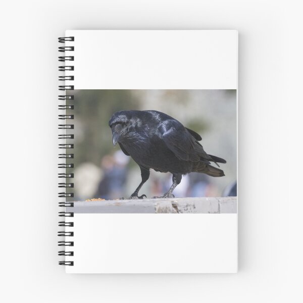 Item preview, Common Raven designed and sold by LaurenTucker.
