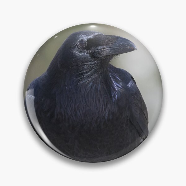Item preview, Common Raven - Corvus corax designed and sold by LaurenTucker.