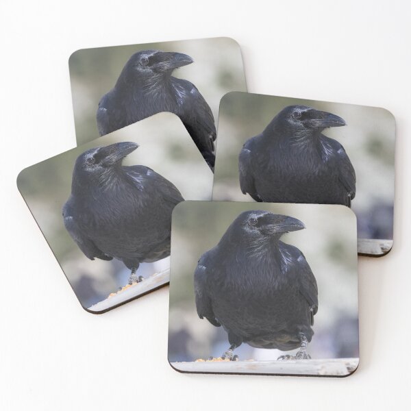 Item preview, Common Raven - Corvus corax designed and sold by LaurenTucker.