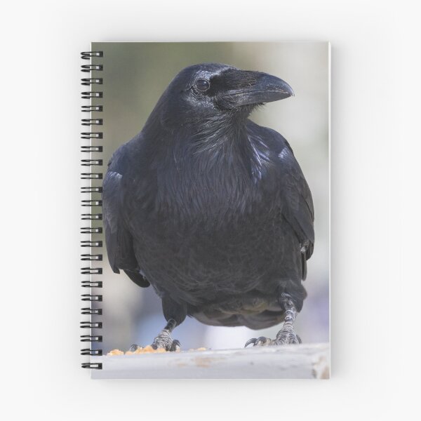 Item preview, Common Raven - Corvus corax designed and sold by LaurenTucker.