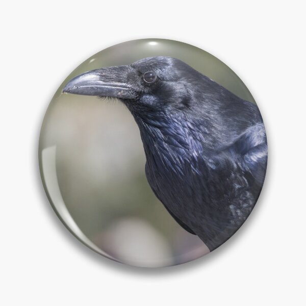 Item preview, Common Raven designed and sold by LaurenTucker.
