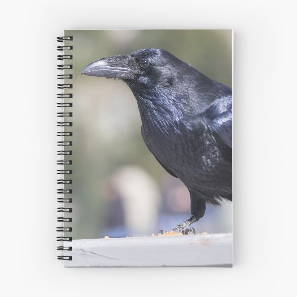 Item preview, Common Raven designed and sold by LaurenTucker.