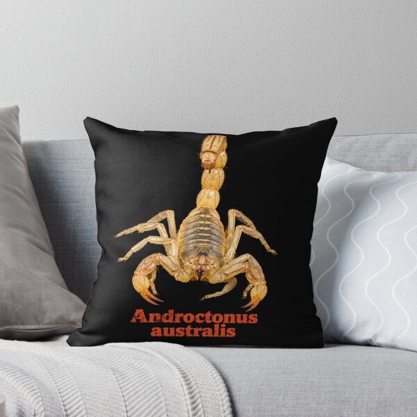 Item preview, Androctonus australis — Yellow Fat-tailed Scorpion SP-008 designed and sold by Exotic-Atlas.