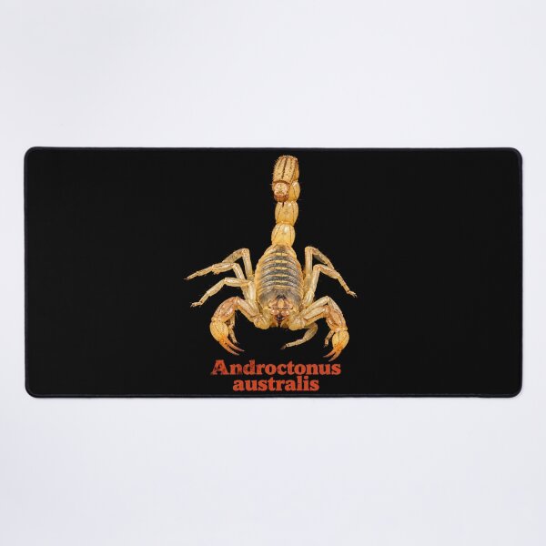 Item preview, Androctonus australis — Yellow Fat-tailed Scorpion SP-008 designed and sold by Exotic-Atlas.