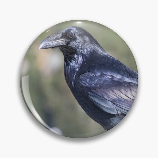 Item preview, Common Raven designed and sold by LaurenTucker.