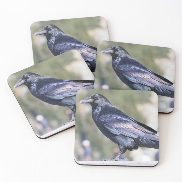 Item preview, Common Raven designed and sold by LaurenTucker.