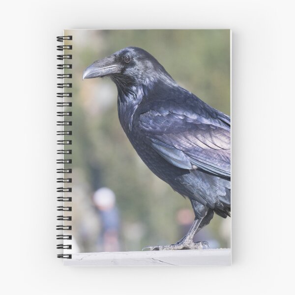 Item preview, Common Raven designed and sold by LaurenTucker.