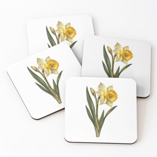 Item preview, March Birth Flower | Daffodil Botanical Art | March Birthday Gift designed and sold by Brackenlume Studio.