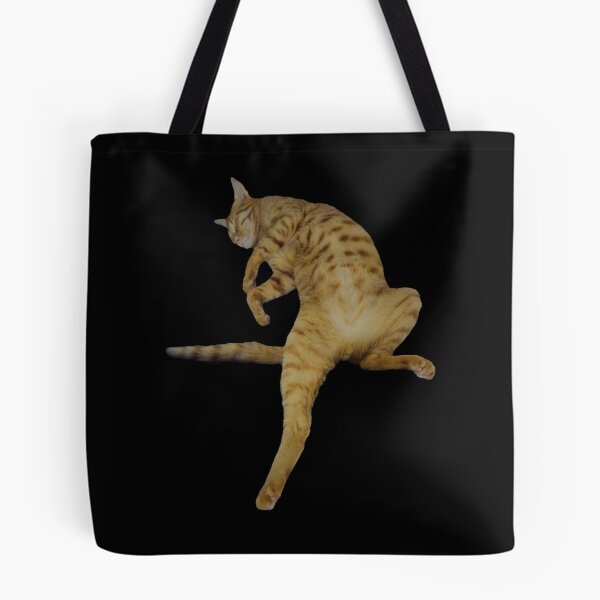 Item preview, Funny Acrobatic Yoga Ginger Cat Sleeping designed and sold by Yanshuf.