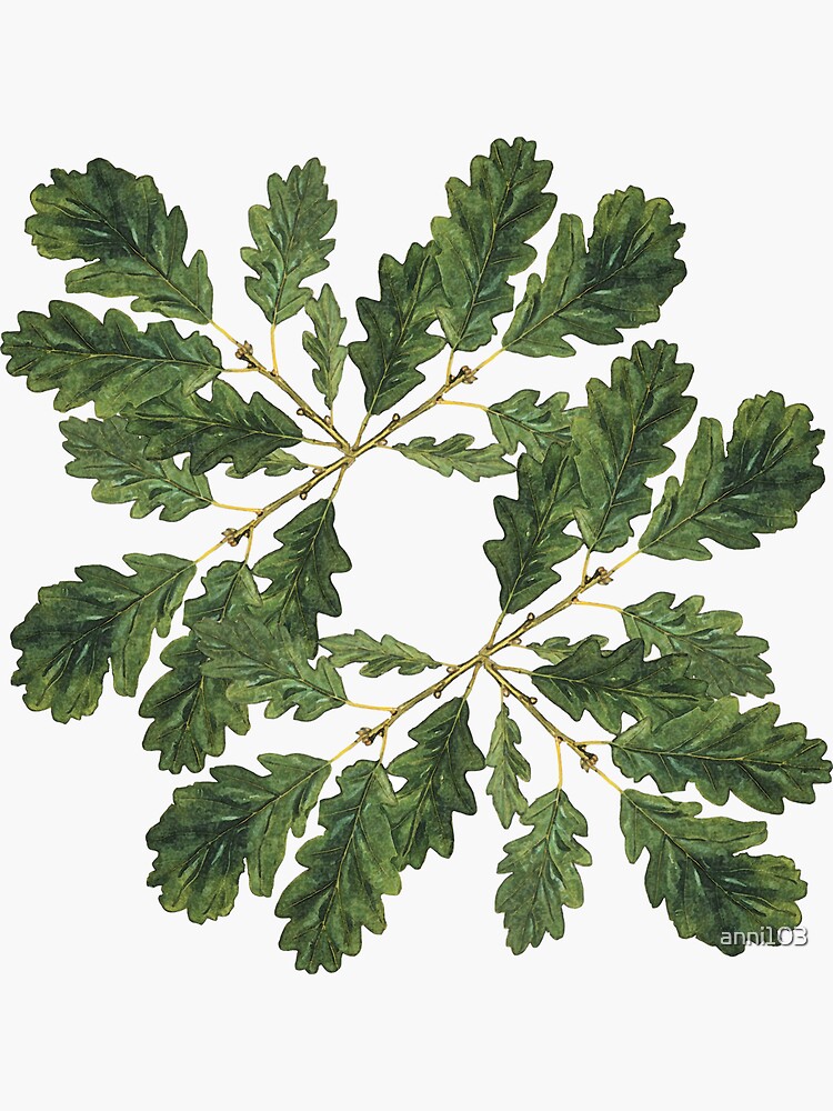 Oak leaf ensemble by anni103