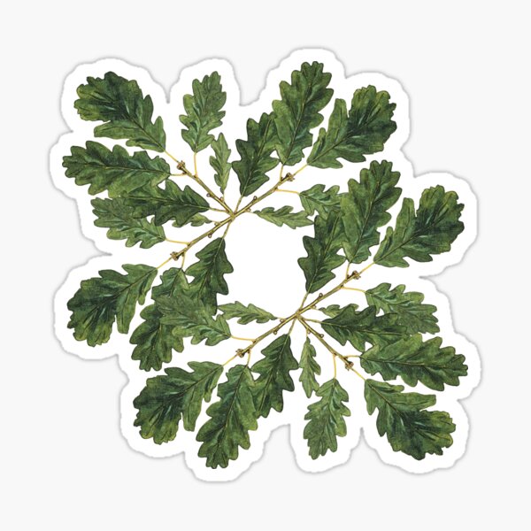 Oak leaf ensemble Sticker