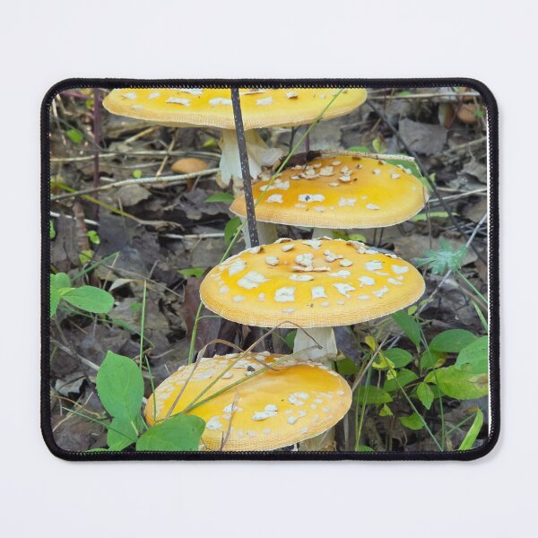 Item preview, Set of mushroom designed and sold by LainaCoopPhotos.