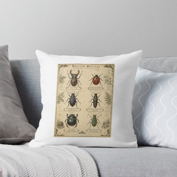 Item preview, Beetle Identification Chart | Vintage Entomology Specimen | Naturalist Gift designed and sold by Brackenlume Studio.