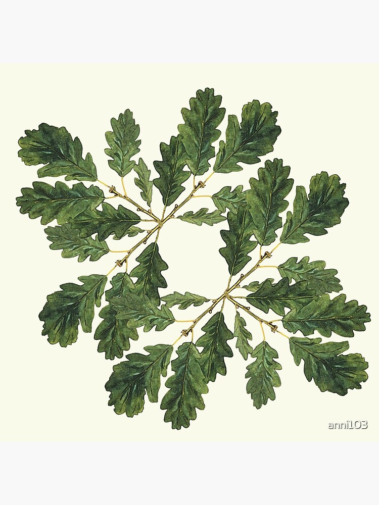 Oak leaf ensemble by anni103
