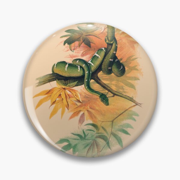 Item preview, The Green Boa by Joseph Wolf, 1861-1867 designed and sold by Exhumed Archives.