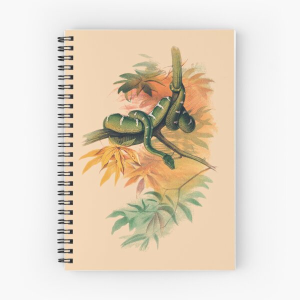 Item preview, The Green Boa by Joseph Wolf, 1861-1867 designed and sold by Exhumed Archives.