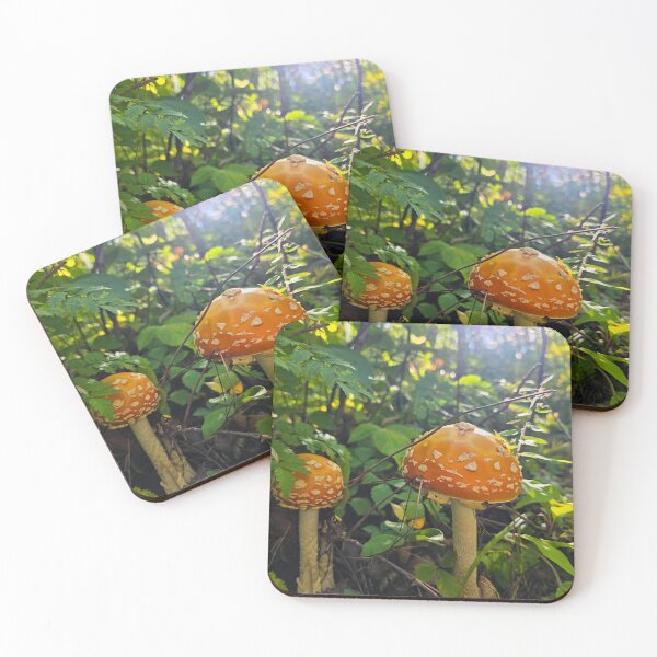 Item preview, Quite a Pair designed and sold by LainaCoopPhotos.