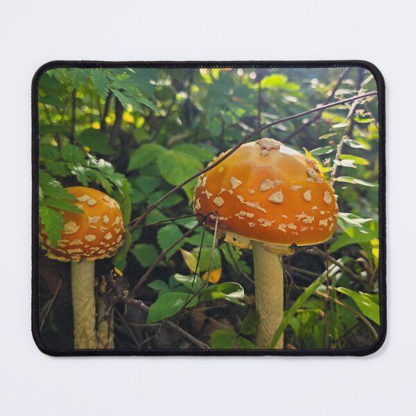 Item preview, Quite a Pair designed and sold by LainaCoopPhotos.