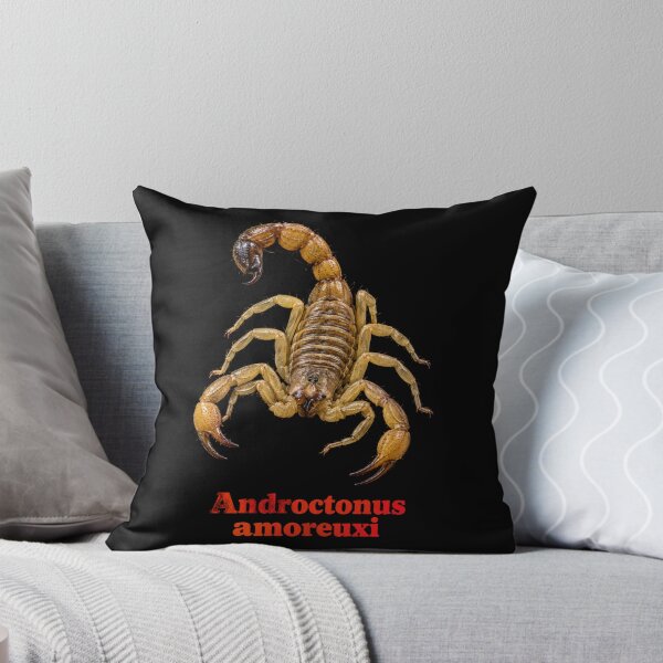 Item preview, Androctonus amoreuxi — Morocco Fat-tailed Scorpion SP-009 designed and sold by Exotic-Atlas.