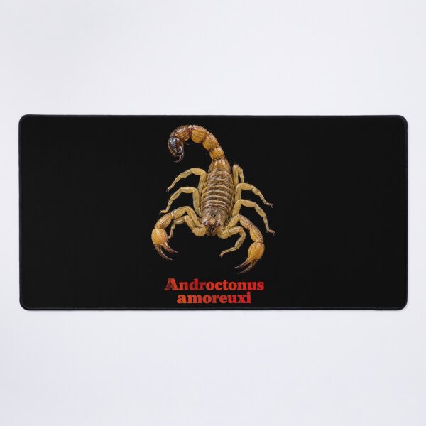 Item preview, Androctonus amoreuxi — Morocco Fat-tailed Scorpion SP-009 designed and sold by Exotic-Atlas.