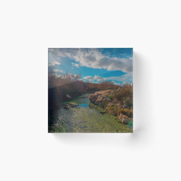 Item preview, Blooming Waterway designed and sold by sutradelanoche.