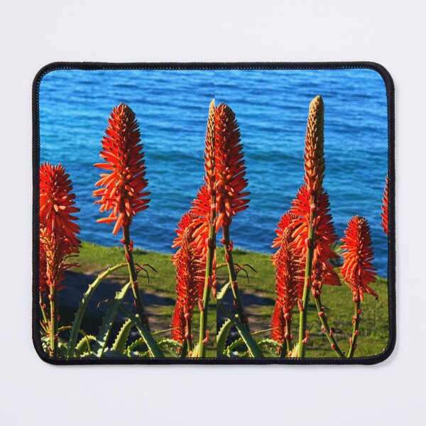 Item preview, Vibrant Orange Aloe Blossoms with Coastal Ocean Backdrop designed and sold by BalkanBloomArt.