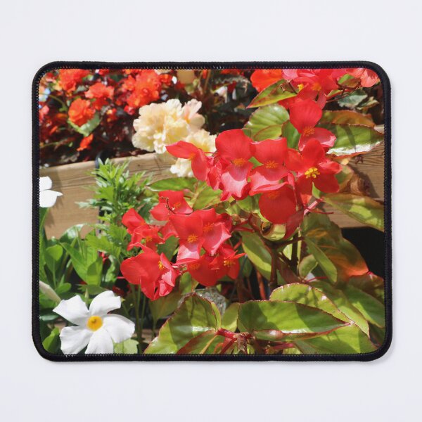 Item preview, Begonia flowers and more designed and sold by EleniA8.