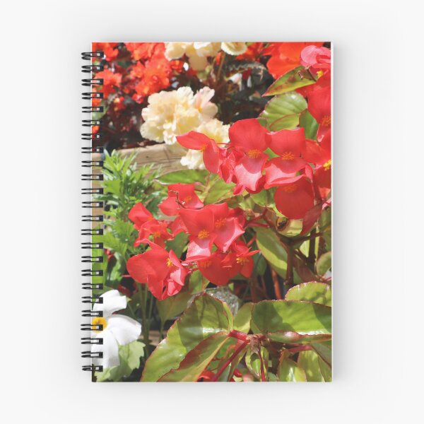 Item preview, Flores de begonia y más designed and sold by EleniA8.
