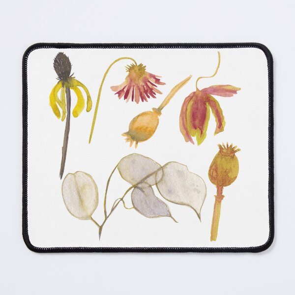 Item preview, Watercolor dried flowers collection with rudbeckia lunaria and poppy heads designed and sold by chovhaniryna.