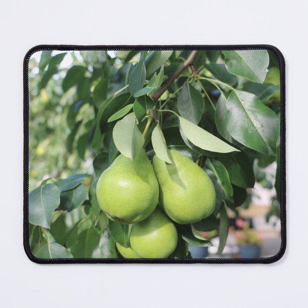 Item preview, green pears from a pear tree designed and sold by EleniA8.