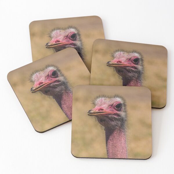 Item preview, ostrich designed and sold by AgdBol.