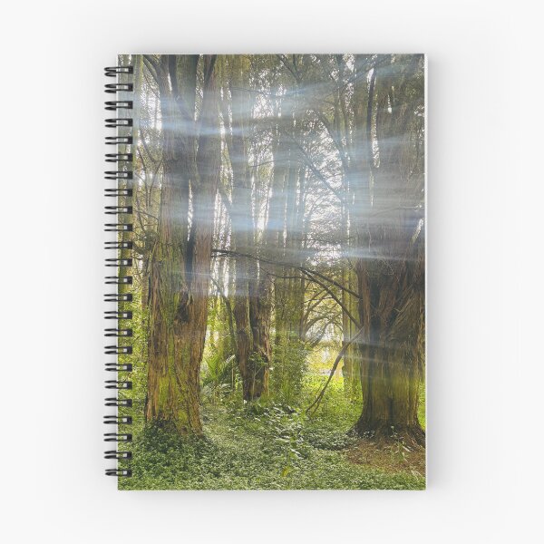 Item preview, Sunlit Trees designed and sold by Jasbindar Singh.