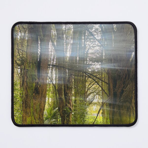 Item preview, Sunlit Trees designed and sold by Jasbindar Singh.