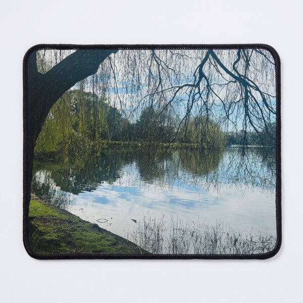 Item preview, Willow Tree Reflections in the Lake designed and sold by Jasbindar Singh.